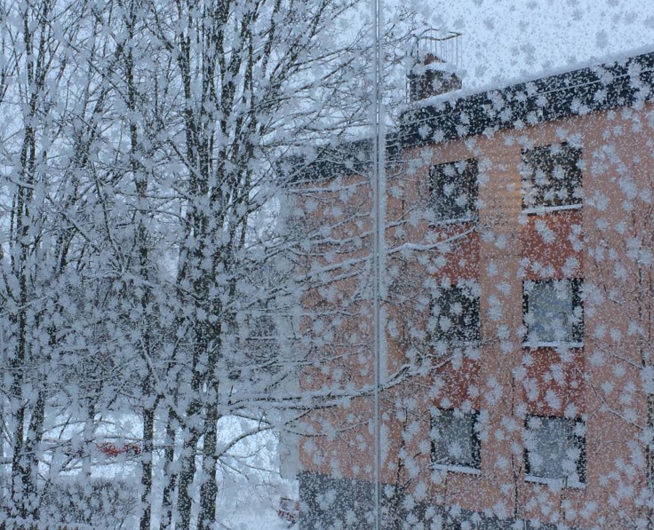 50551807_1147308928776398_5325146885919342592_o[1]