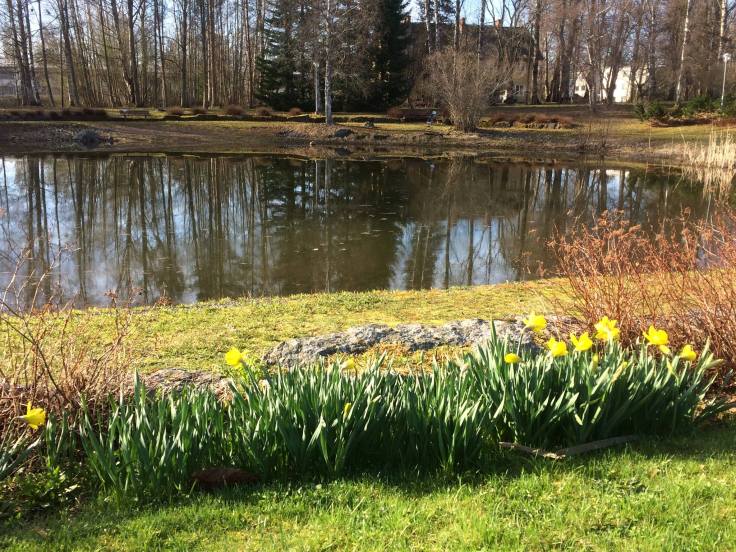 Lampi_Oriveden_opisto