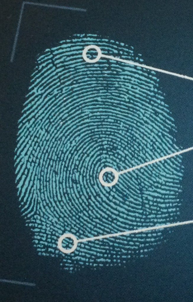 9894C2B4-5C25-4BF1-9C41-3846140639EA