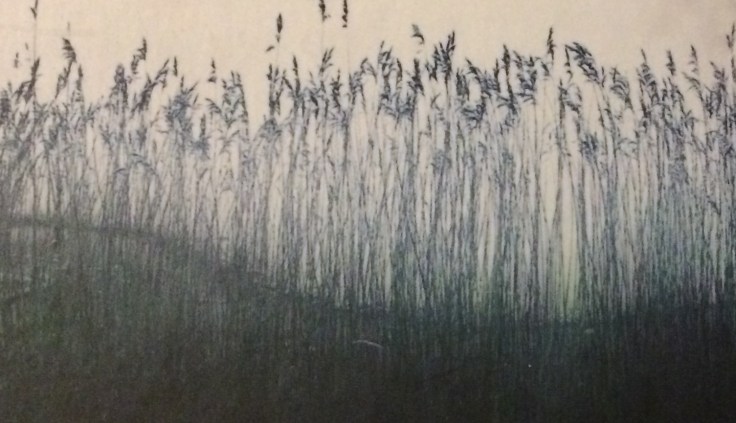 47AAB667-2841-4A94-8011-D52950343D00